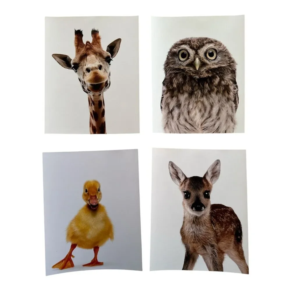 Nursery Wall Art Baby Animal Photography Woodland Zoo Farm Set of 10, 8x10 Inch